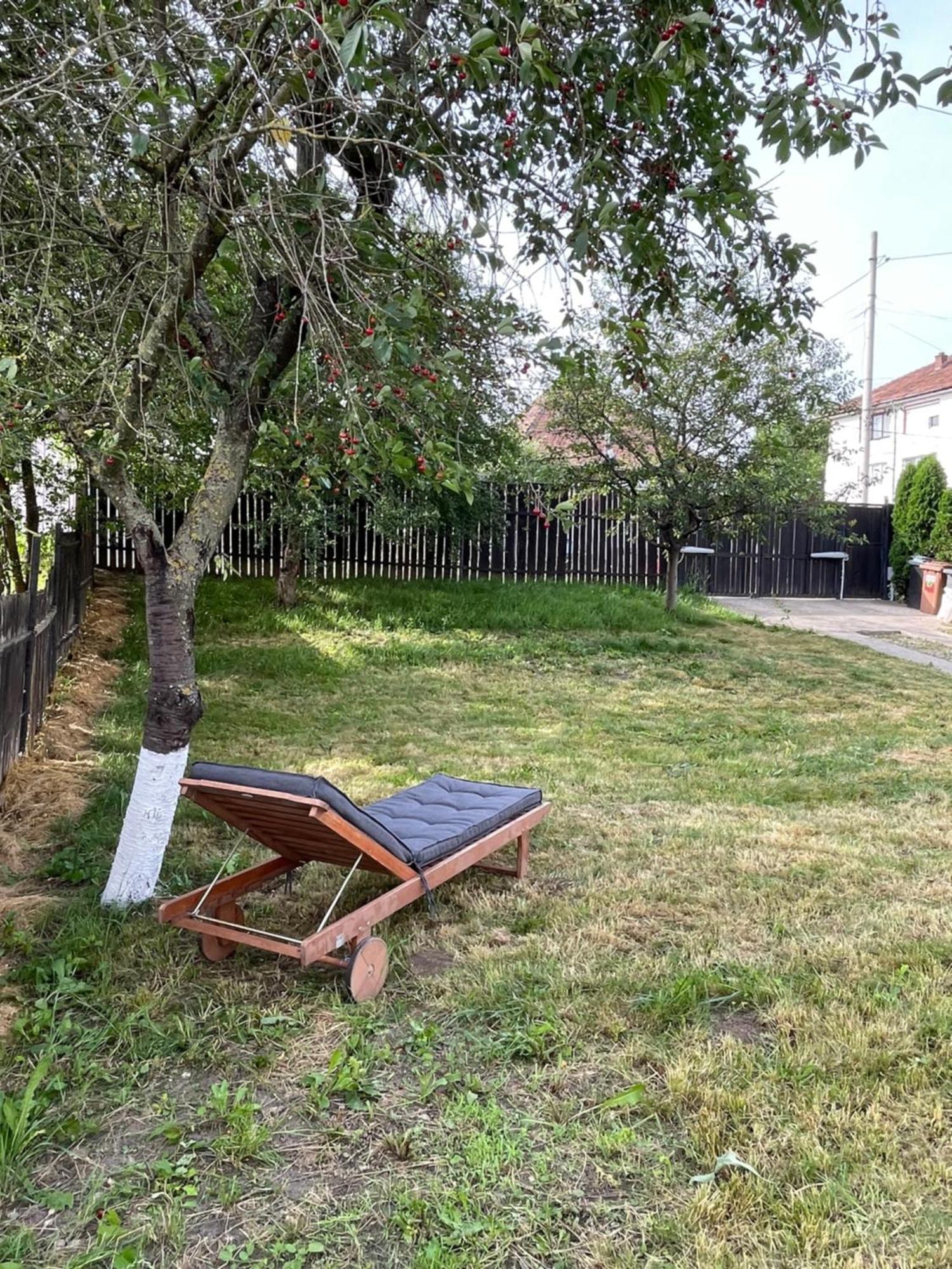 House Of Joven Villa Mediaş Exterior foto